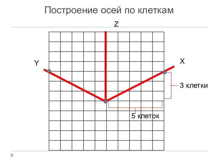 Построение осей по клеткам Z Y X 5 клеток 3 клетки