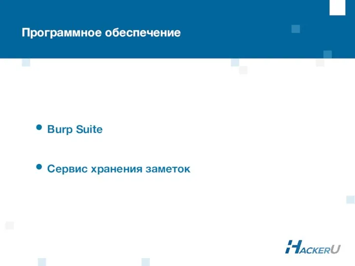 Программное обеспечение Burp Suite Сервис хранения заметок