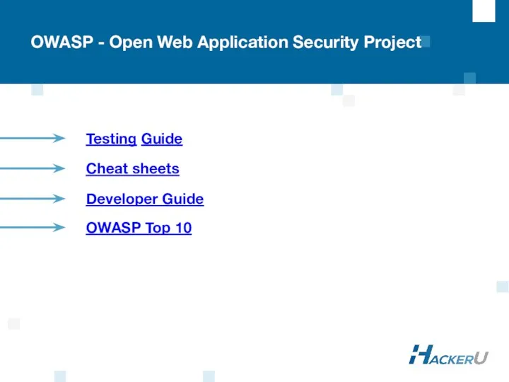 Testing Guide Cheat sheets Developer Guide OWASP Top 10 OWASP - Open Web Application Security Project