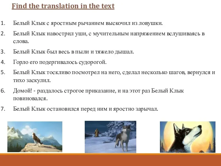 Find the translation in the text Белый Клык с яростным рычанием выскочил из