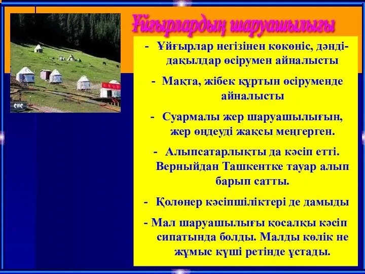 Ұйғырлар негізінен көкөніс, дәнді- дақылдар өсірумен айналысты - Мақта, жібек