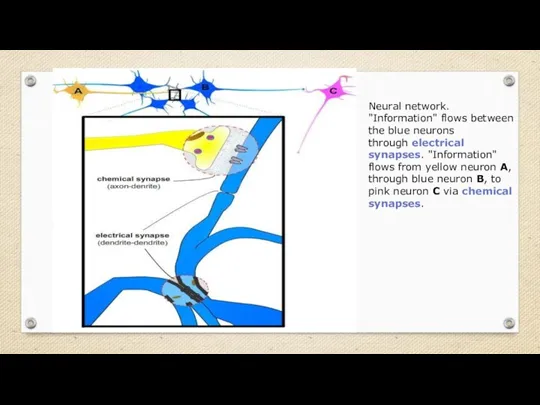 Neural network. "Information" flows between the blue neurons through electrical