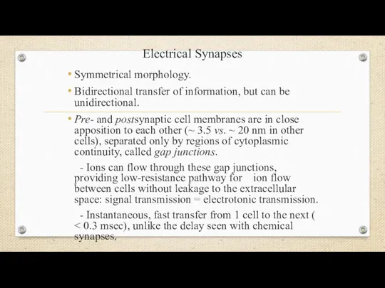 Electrical Synapses Symmetrical morphology. Bidirectional transfer of information, but can