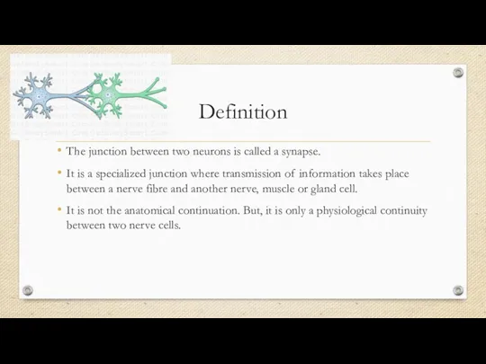 Definition The junction between two neurons is called a synapse.