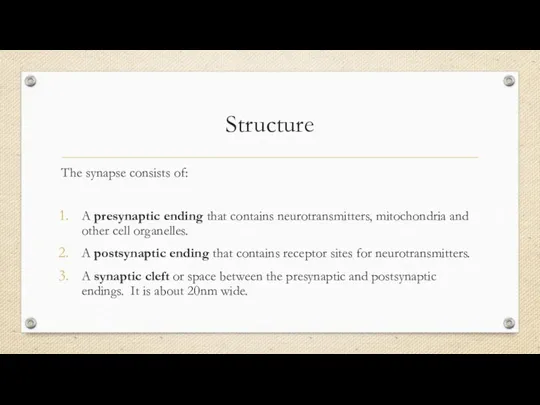 Structure The synapse consists of: A presynaptic ending that contains