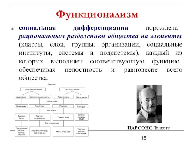 Функционализм социальная дифференциация порождена рациональным разделением общества на элементы (классы,