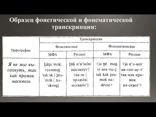 Образец фонетической и фонематичес­кой транскрипции: