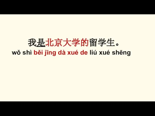 我是北京大学的留学生。 wǒ shì běi jīng dà xué de liú xué shēng