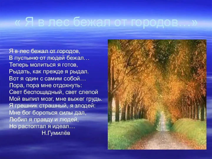 « Я в лес бежал от городов…» Я в лес