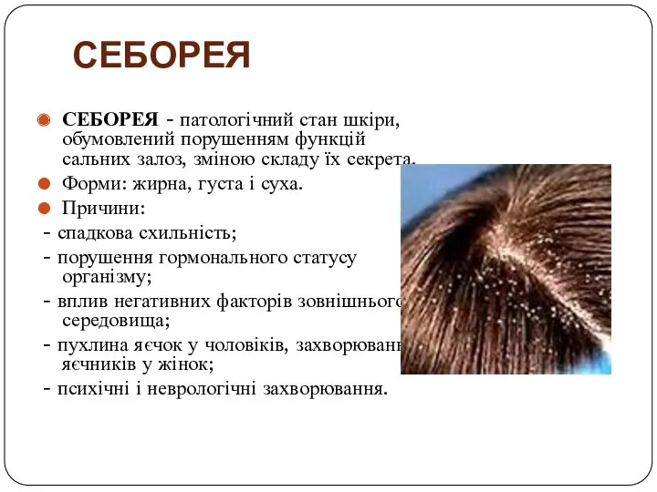 СЕБОРЕЯ СЕБОРЕЯ - патологічний стан шкіри, обумовлений порушенням функцій сальних залоз, зміною складу