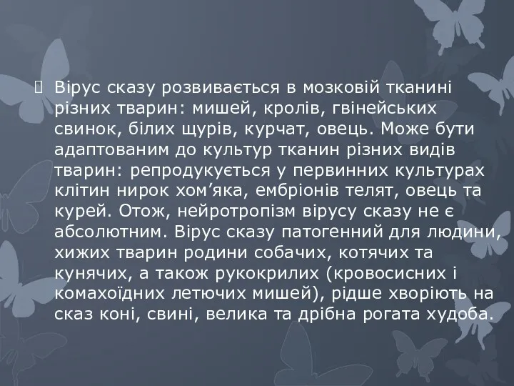 Вірус сказу розвивається в мозковій тканині різних тварин: мишей, кролів,