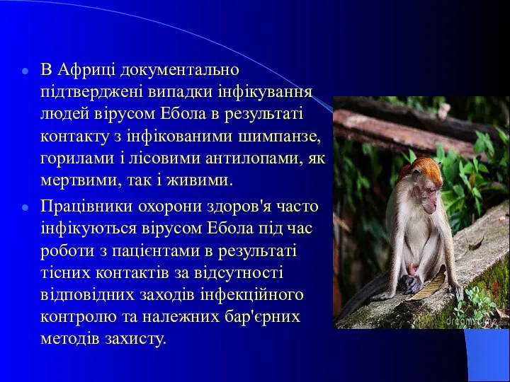 В Африці документально підтверджені випадки інфікування людей вірусом Ебола в