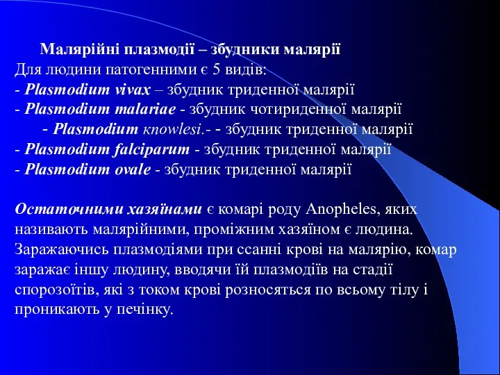 Малярійні плазмодії – збудники малярії Для людини патогенними є 5