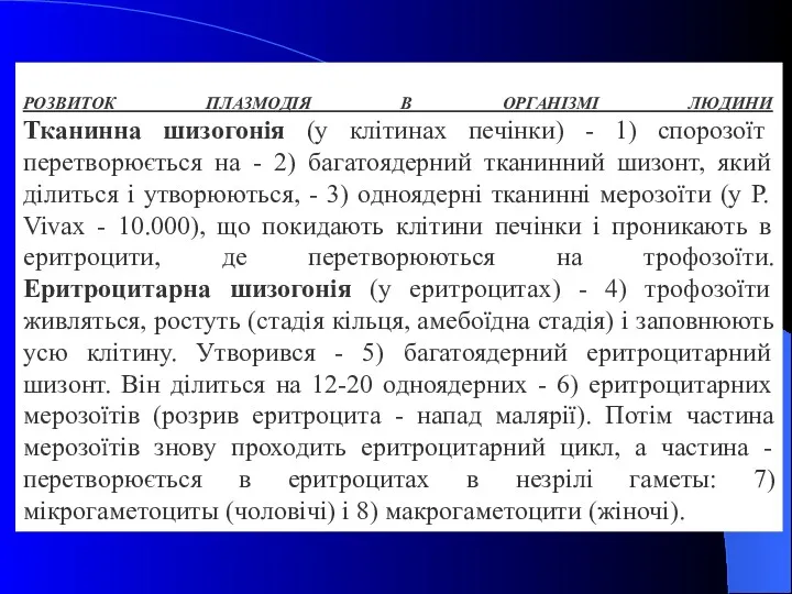 РОЗВИТОК ПЛАЗМОДІЯ В ОРГАНІЗМІ ЛЮДИНИ Тканинна шизогонія (у клітинах печінки)