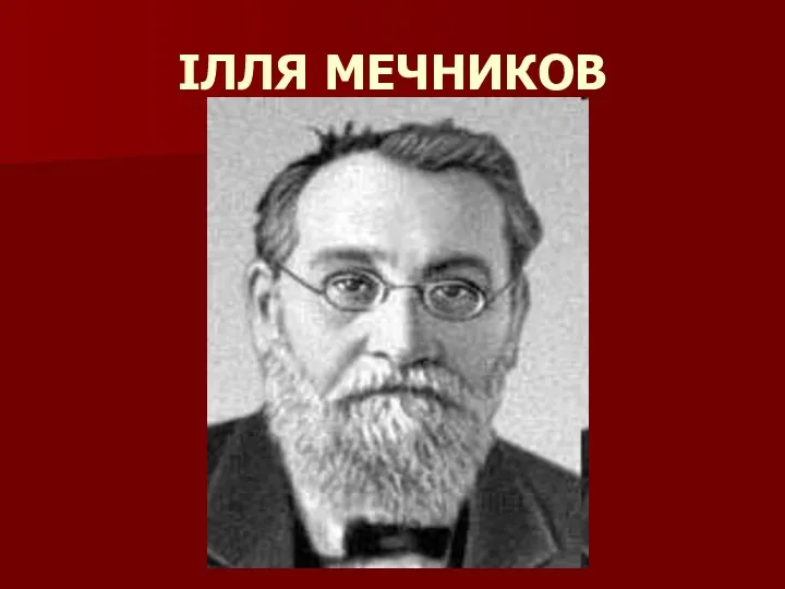 ІЛЛЯ МЕЧНИКОВ