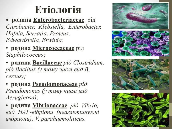 Етіологія • родина Enterobacteriaceae рід Сitrobacter, Klebsiella, Enterobacter, Hafnia, Serratia,