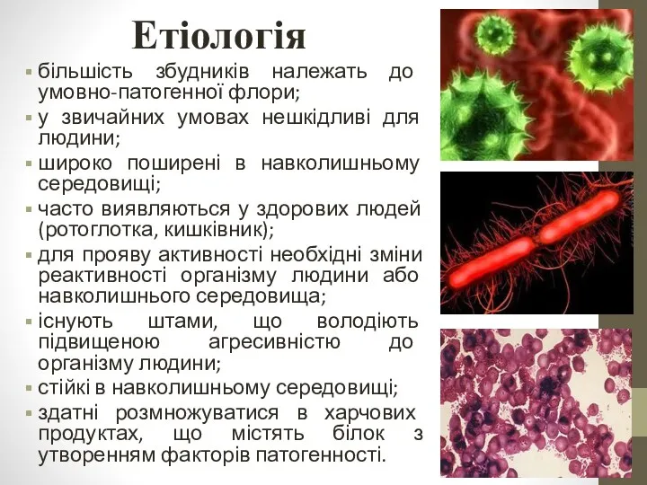 Етіологія більшість збудників належать до умовно-патогенної флори; у звичайних умовах