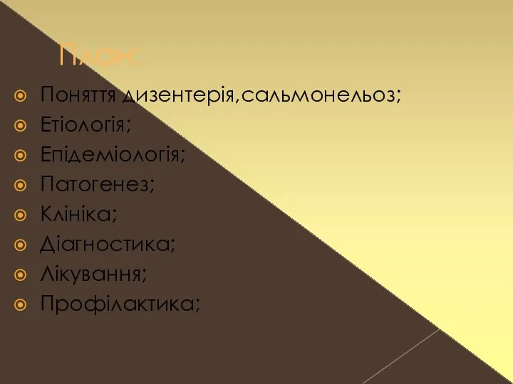 План: Поняття дизентерія,сальмонельоз; Етіологія; Епідеміологія; Патогенез; Клініка; Діагностика; Лікування; Профілактика;