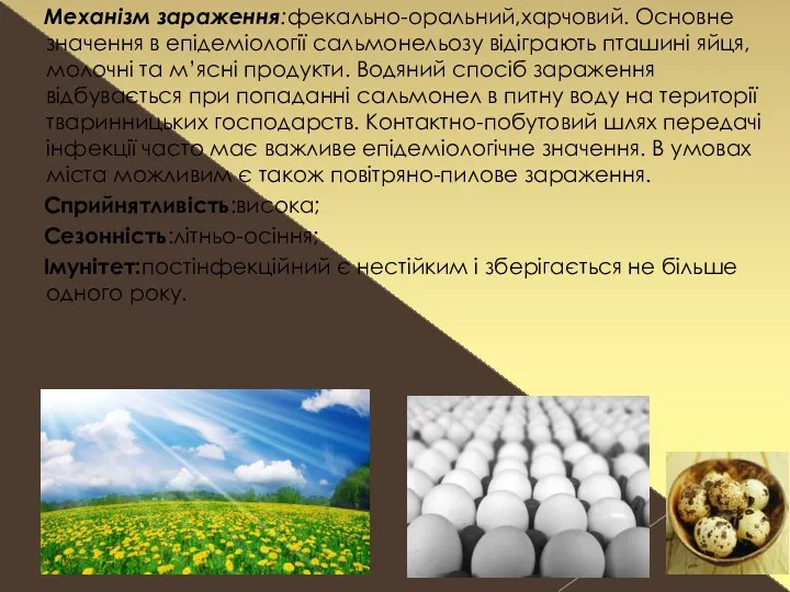 Механізм зараження:фекально-оральний,харчовий. Основне значення в епідеміології сальмонельозу відіграють пташині яйця,