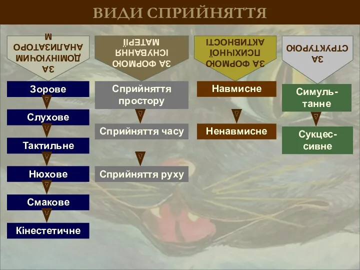 ВИДИ СПРИЙНЯТТЯ ЗА ДОМІНУЮЧИМ АНАЛИЗАТОРОМ ЗА ФОРМОЮ ІСНУВАННЯ МАТЕРІЇ ЗА