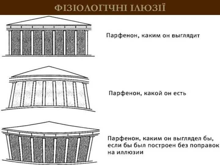 ФІЗІОЛОГІЧНІ ІЛЮЗІЇ