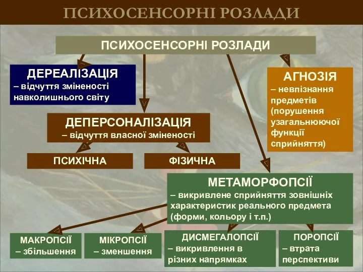 ПСИХОСЕНСОРНІ РОЗЛАДИ ДЕРЕАЛІЗАЦІЯ – відчуття зміненості навколишнього світу АГНОЗІЯ –