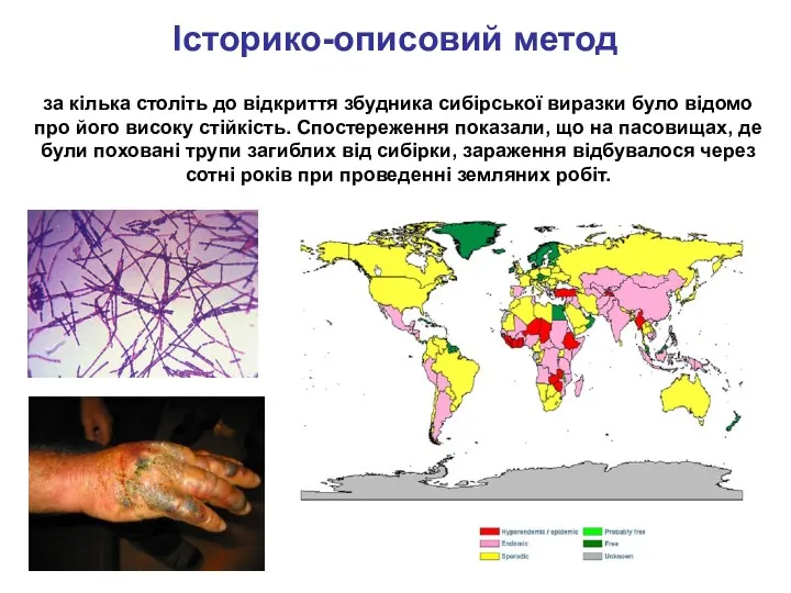 Історико-описовий метод за кілька століть до відкриття збудника сибірської виразки