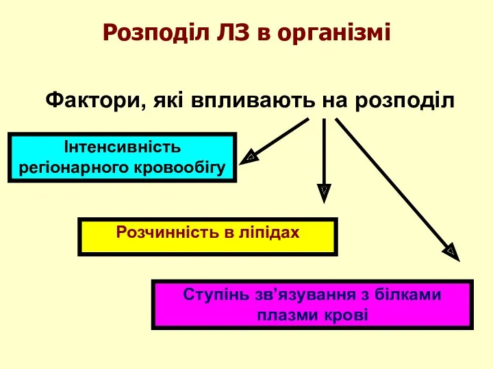 Розподіл ЛЗ в організмі Фактори, які впливають на розподіл Інтенсивність