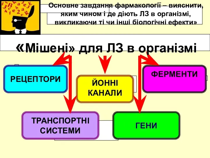 РЕЦЕПТОРИ ЙОННІ КАНАЛИ ФЕРМЕНТИ ТРАНСПОРТНІ СИСТЕМИ ГЕНИ «Мішені» для ЛЗ