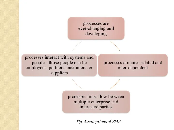 Fig. Assumptions of BMP