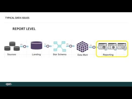 TYPICAL DATA ISSUES REPORT LEVEL