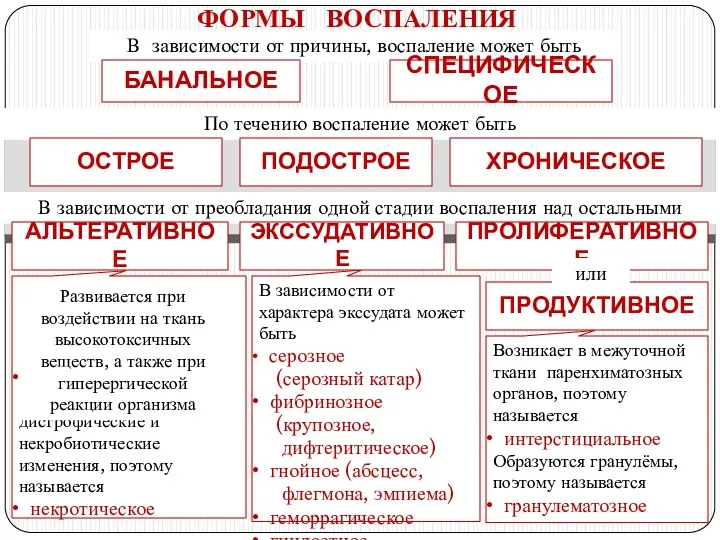 Захватывает паренхиму органов (сердце, печень, почки), поэтому носит название паренхиматозное