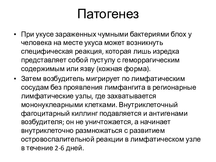 Патогенез При укусе зараженных чумными бактериями блох у человека на