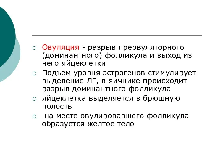 Овуляция - разрыв преовуляторного (доминантного) фолликула и выход из него