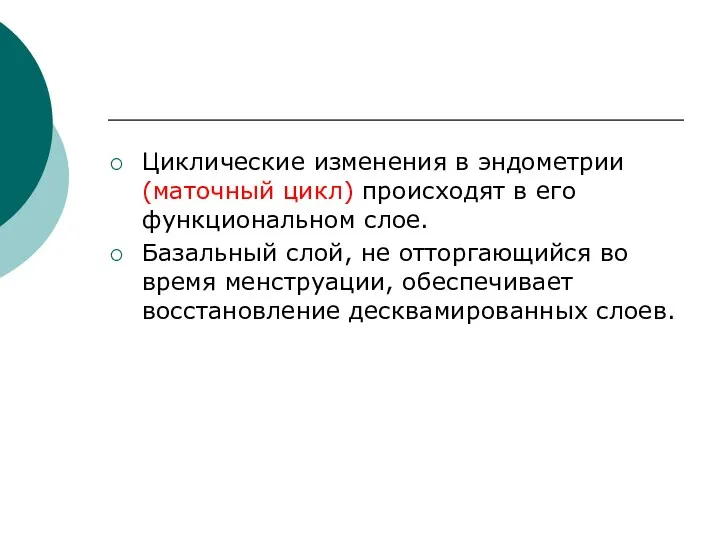 Циклические изменения в эндометрии (маточный цикл) происходят в его функциональном