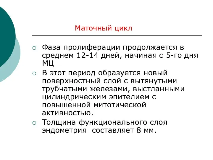 Фаза пролиферации продолжается в среднем 12-14 дней, начиная с 5-го