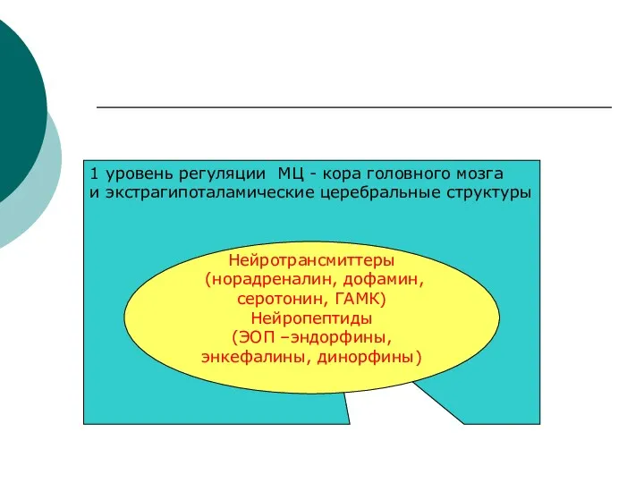 1 уровень регуляции МЦ - кора головного мозга и экстрагипоталамические