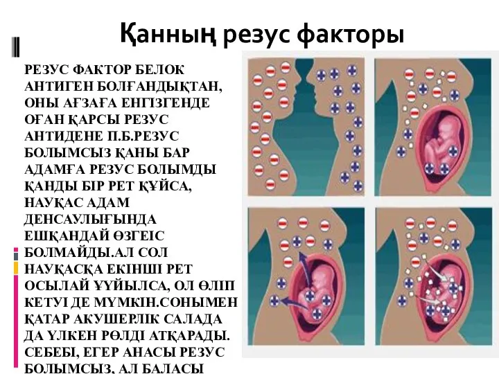 РЕЗУС ФАКТОР БЕЛОК АНТИГЕН БОЛҒАНДЫҚТАН, ОНЫ АҒЗАҒА ЕНГІЗГЕНДЕ ОҒАН ҚАРСЫ