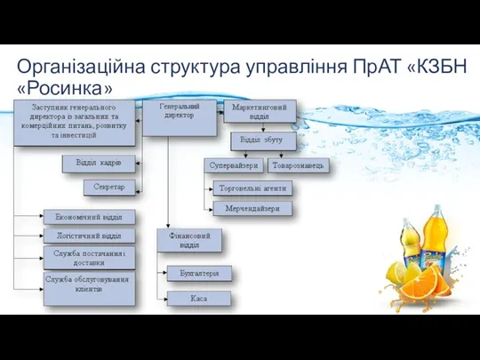 Організаційна структура управління ПрАТ «КЗБН «Росинка»