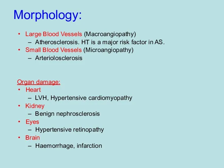 Morphology: Large Blood Vessels (Macroangiopathy) Atherosclerosis. HT is a major