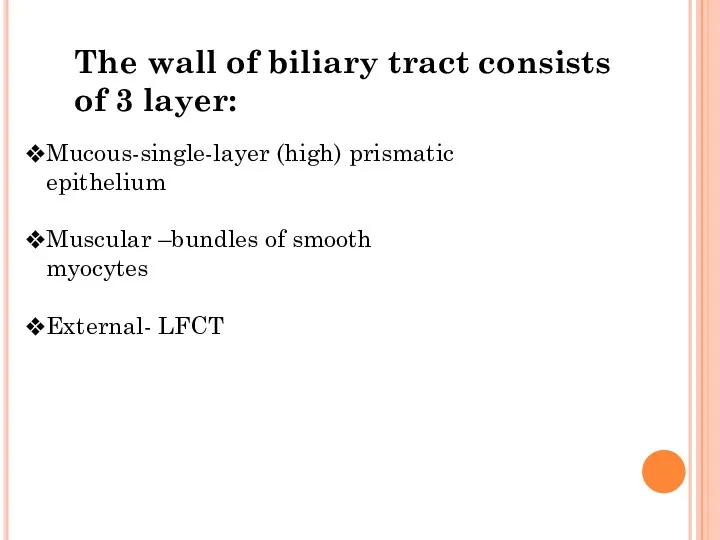 The wall of biliary tract consists of 3 layer: Mucous-single-layer