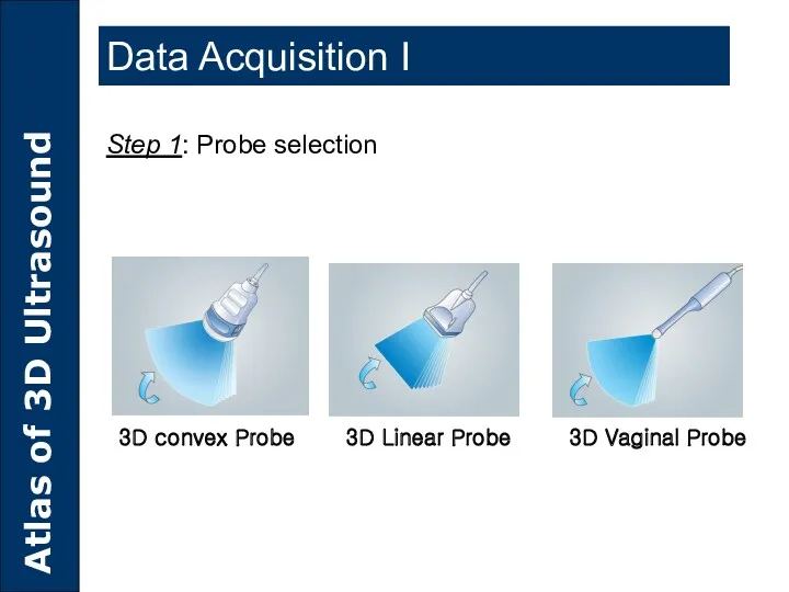 3D convex Probe 3D Linear Probe 3D Vaginal Probe Step 1: Probe selection Data Acquisition I