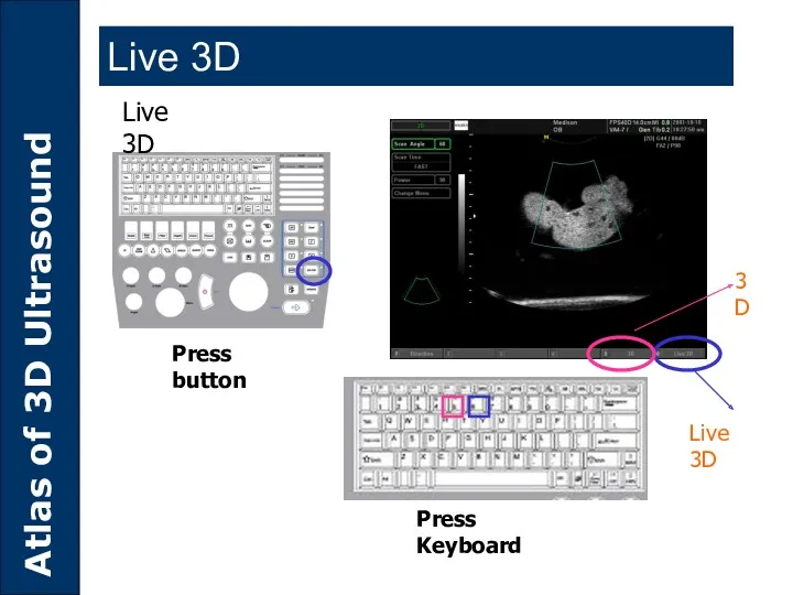 Press button Press Keyboard Live 3D Live 3D 3D Live 3D