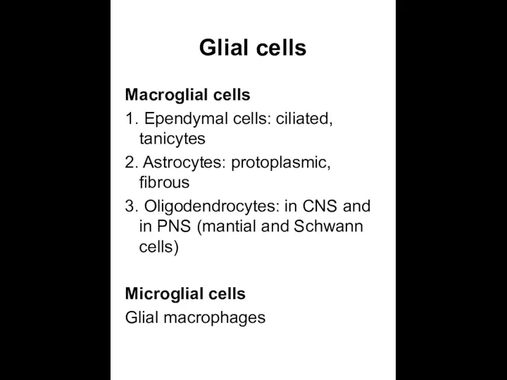 Glial cells Macroglial cells 1. Ependymal cells: ciliated, tanicytes 2.