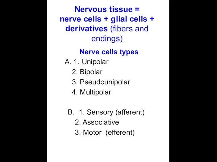 Nervous tissue = nerve cells + glial cells + derivatives
