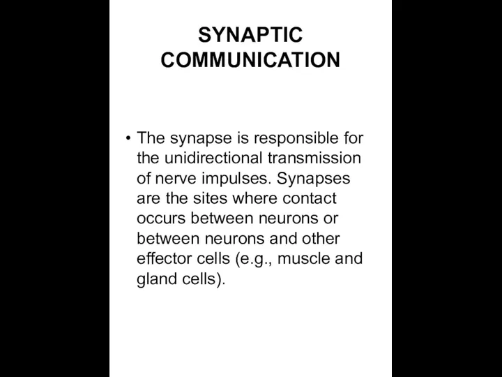 SYNAPTIC COMMUNICATION The synapse is responsible for the unidirectional transmission