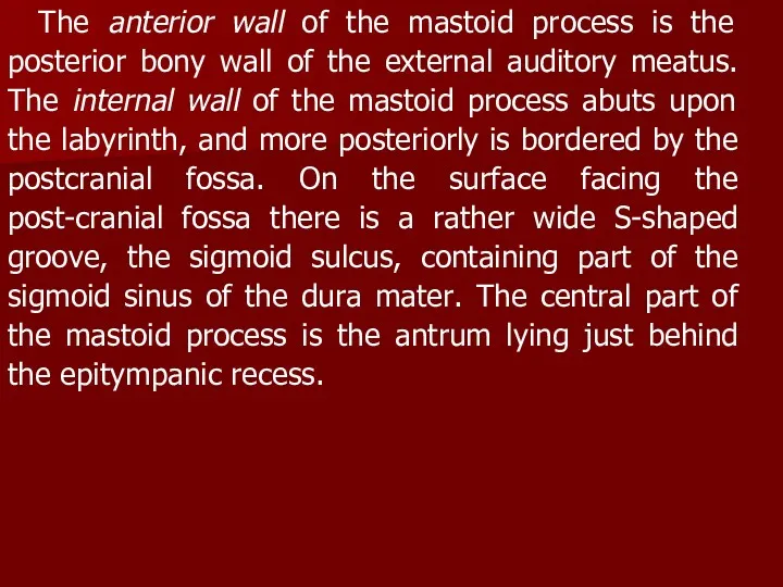 The anterior wall of the mastoid process is the posterior