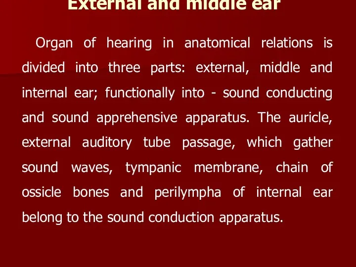 External and middle ear Organ of hearing in anatomical relations