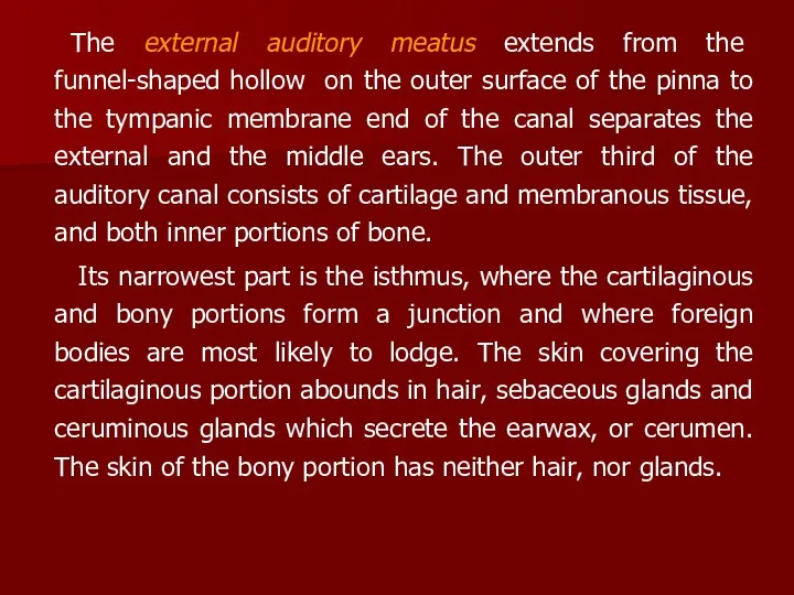 The external auditory meatus extends from the funnel-shaped hollow on