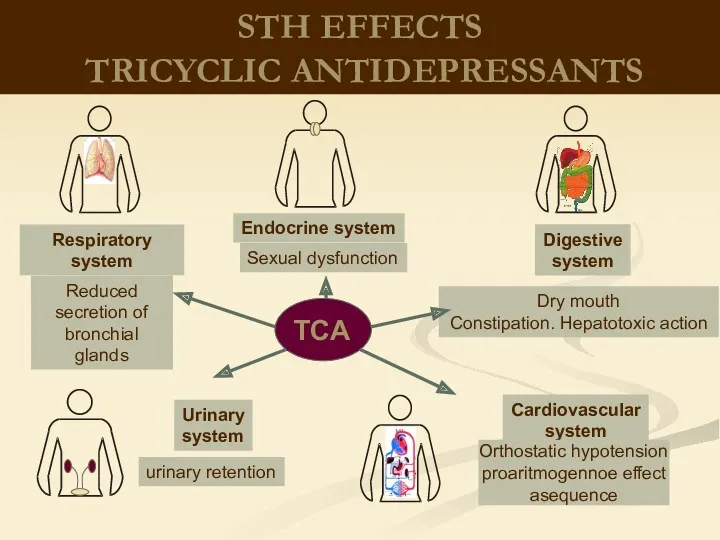 STH EFFECTS TRICYCLIC ANTIDEPRESSANTS Respiratory system Cardiovascular system Endocrine system Urinary system Digestive